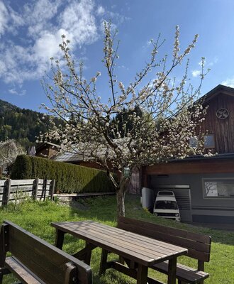 Picknicktisch und Bänke im Garten des Ferienhauses unter einem blühenden Baum.