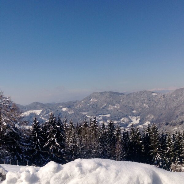 Winterliche Berglandschaft in der Umgebung des Ferienhauses, mit verschneiten Wäldern und einem Holzpfahl im Vordergrund.