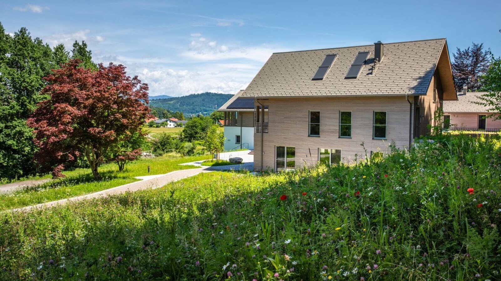 Außenansicht der Ferienwohnung mit Holzfassade, umgeben von einer blühenden Wiese und einem Zugangsweg.