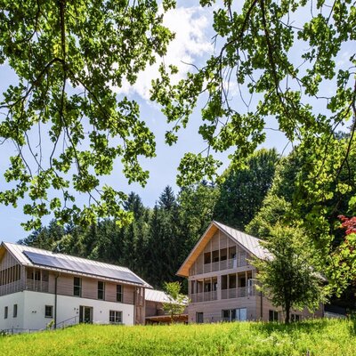 Die modernen Ferienwohnungen mit Holzfassaden und großen Balkonen, liegen auf einer grünen Wiese am Waldrand.