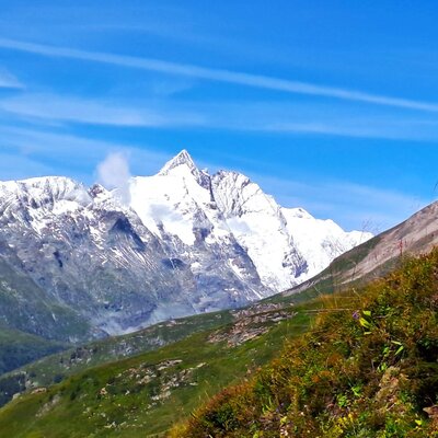 Großglockner in Weiß