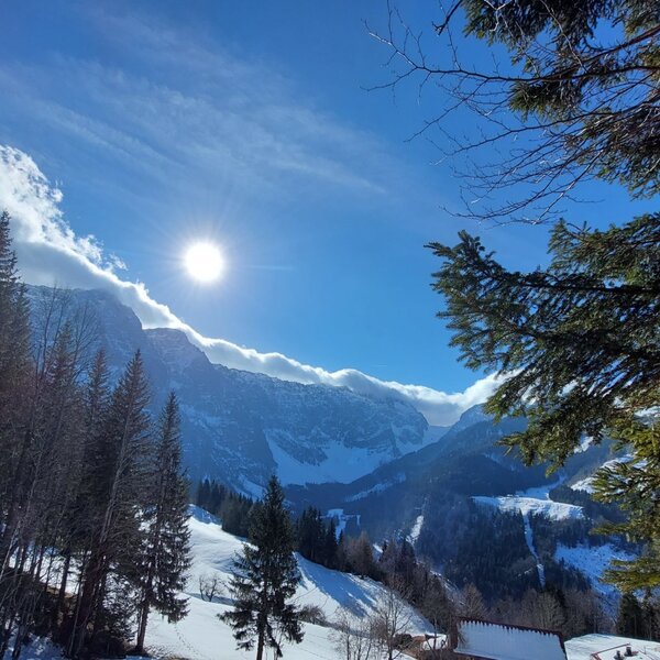 Blick auf die winterliche Berglandschaft mit verschneiten Tannen und blauem Himmel vom Bauernhof.