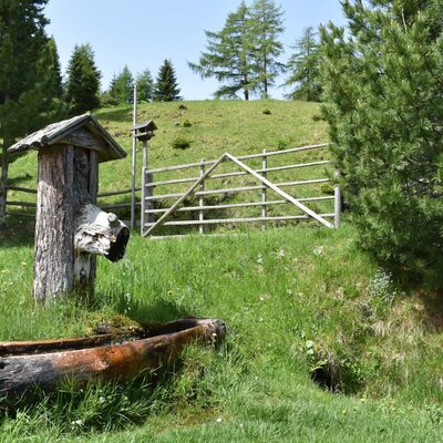 ... einem Brunntrog perfekt zum Kühlen von Getränken ...