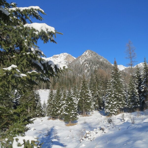 Winterlandschaft