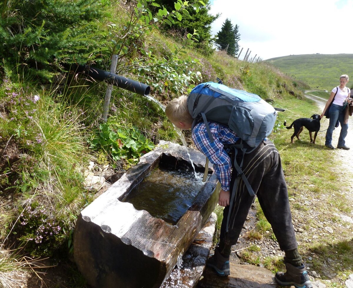 Natürliche Wasserquelle mit Holztrog auf einem Wanderweg in der Nähe des Bauernhofs.