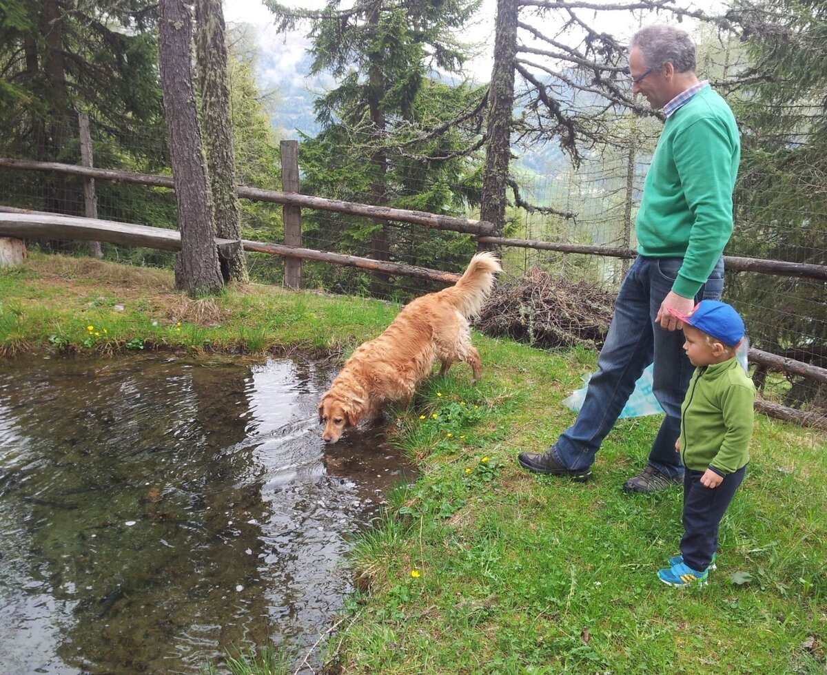 hütteneigener TEICH