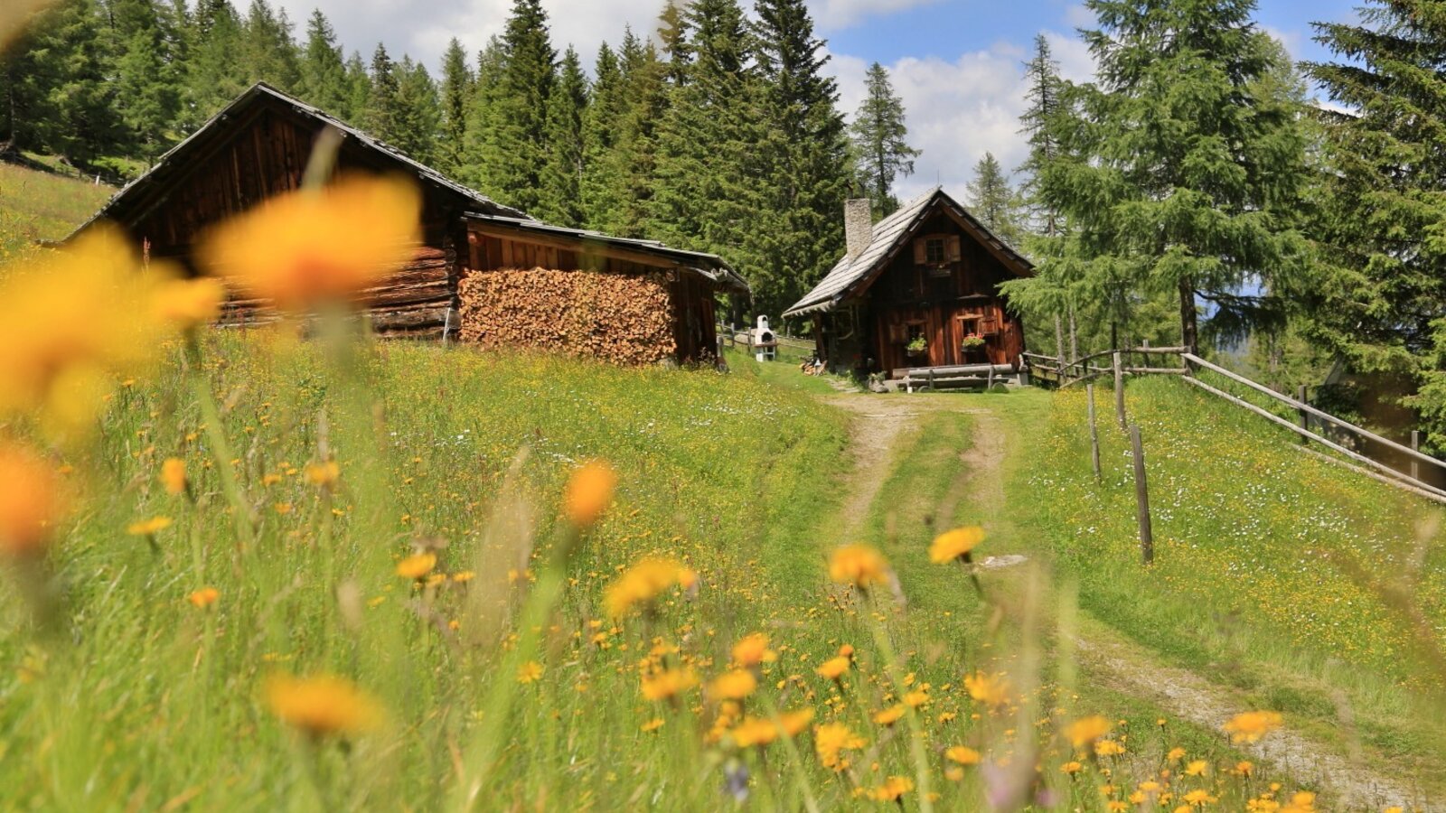 Die Hütte mit Nebengebäude, gelegen an einem Pfad in einer blühenden Bergwiese, umgeben von Wald.