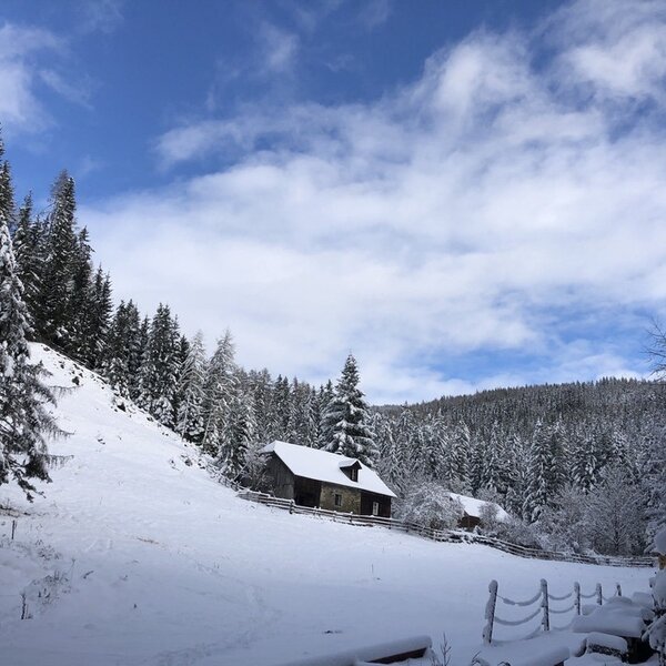 Waldbauer Winter Alleinlage