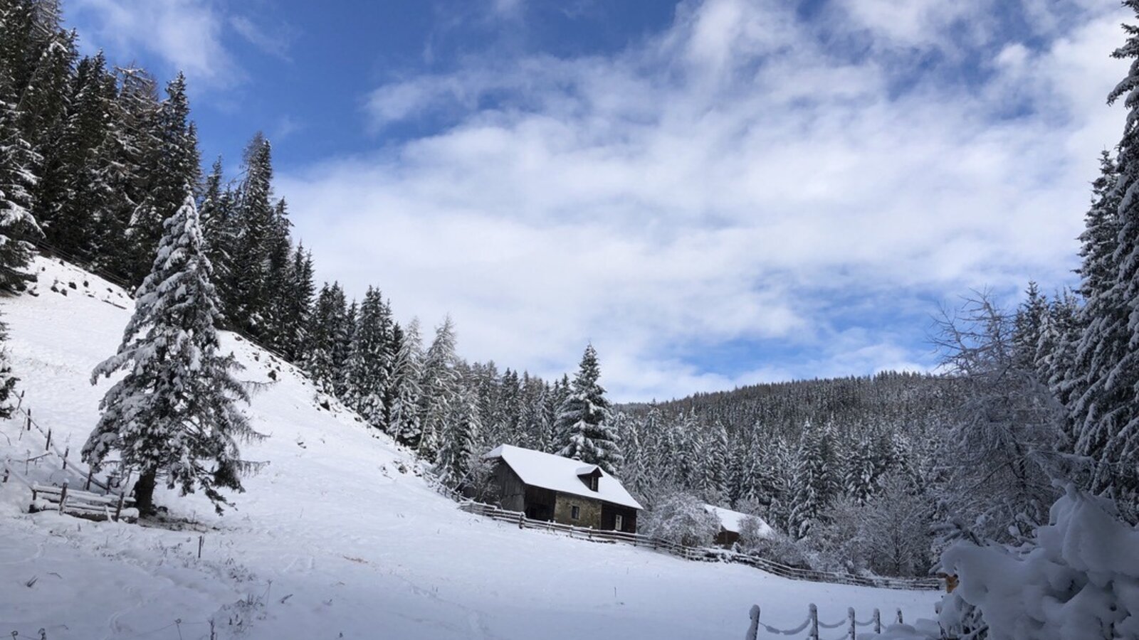 Waldbauer Winter Alleinlage