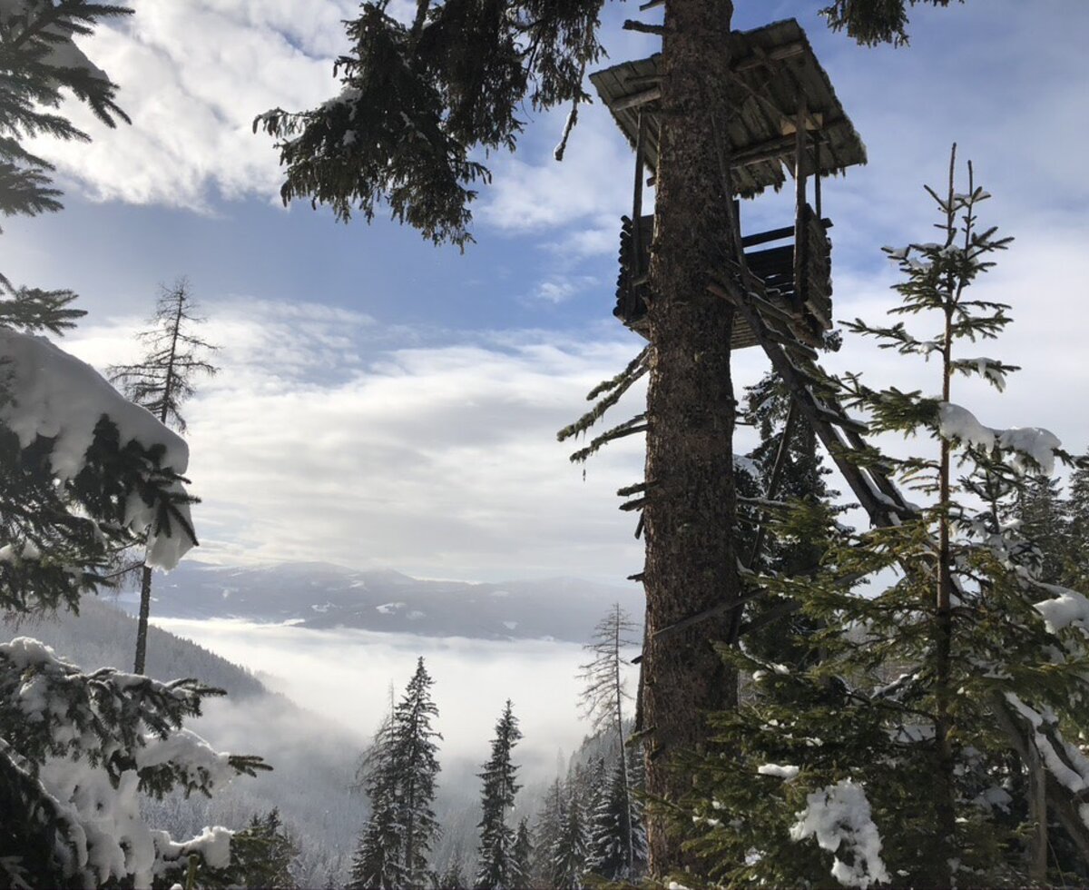 Waldbauer Winter Hochsitz