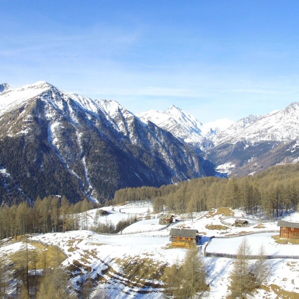 Die Alm befindet sich in einer winterlichen Berglandschaft mit Lärchenbäumen, traditionellen Holzhütten und schneebedeckten Gipfeln.