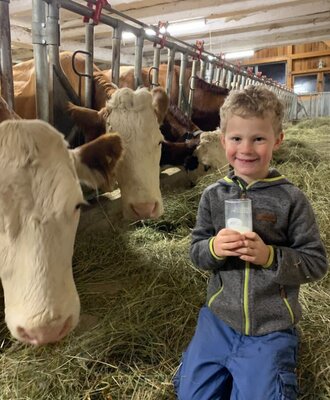 Ein Kind mit einem Glas frischer Milch im Stall der Alm, umgeben von Kühen.