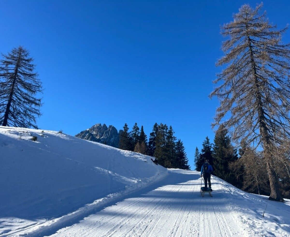 Verschneiter Weg mit einer Person, die einen Schlitten zieht, umgeben von Bäumen und Bergen, in der Umgebung der Alm.