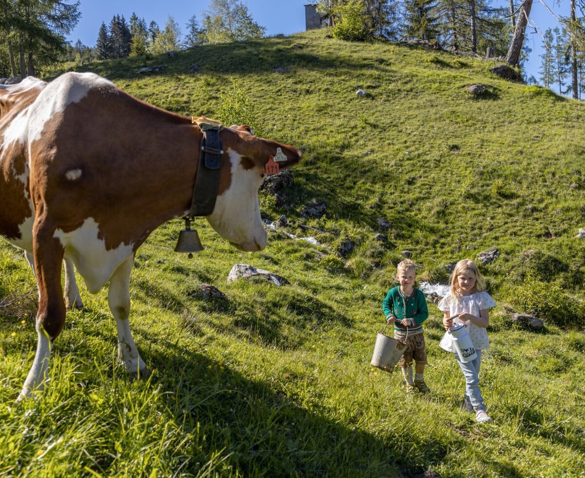 Eine Kuh mit Glocke auf der grünen Almwiese, daneben zwei Kinder mit Eimern.