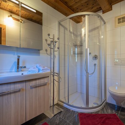 Badezimmer in der Alm mit Duschkabine, Waschbecken mit Spiegelschrank und WC.