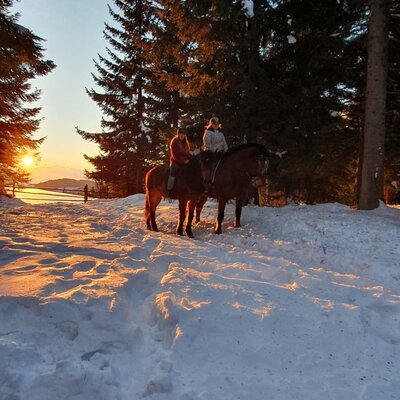 Zwei Reiter auf Pferden in der verschneiten Umgebung bei Sonnenuntergang, eine von vielen möglichen Aktivitäten rund um die Alm.