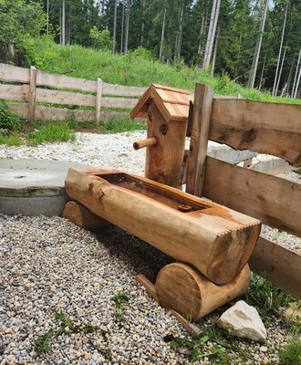 Holzbrunnen mit Wassertrog und Holzauslauf im Außenbereich der Alm.