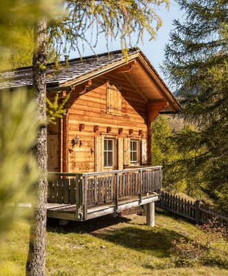 Die Alm mit ihrer Holzfassade und dem Balkon, umgeben von Bäumen und Grünflächen.