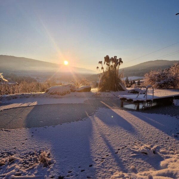Schwimmteich im Winter