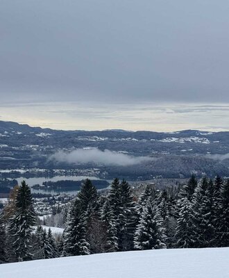 Winterlandschaft mit verschneiten Bäumen mit Blick auf den Faaker See.