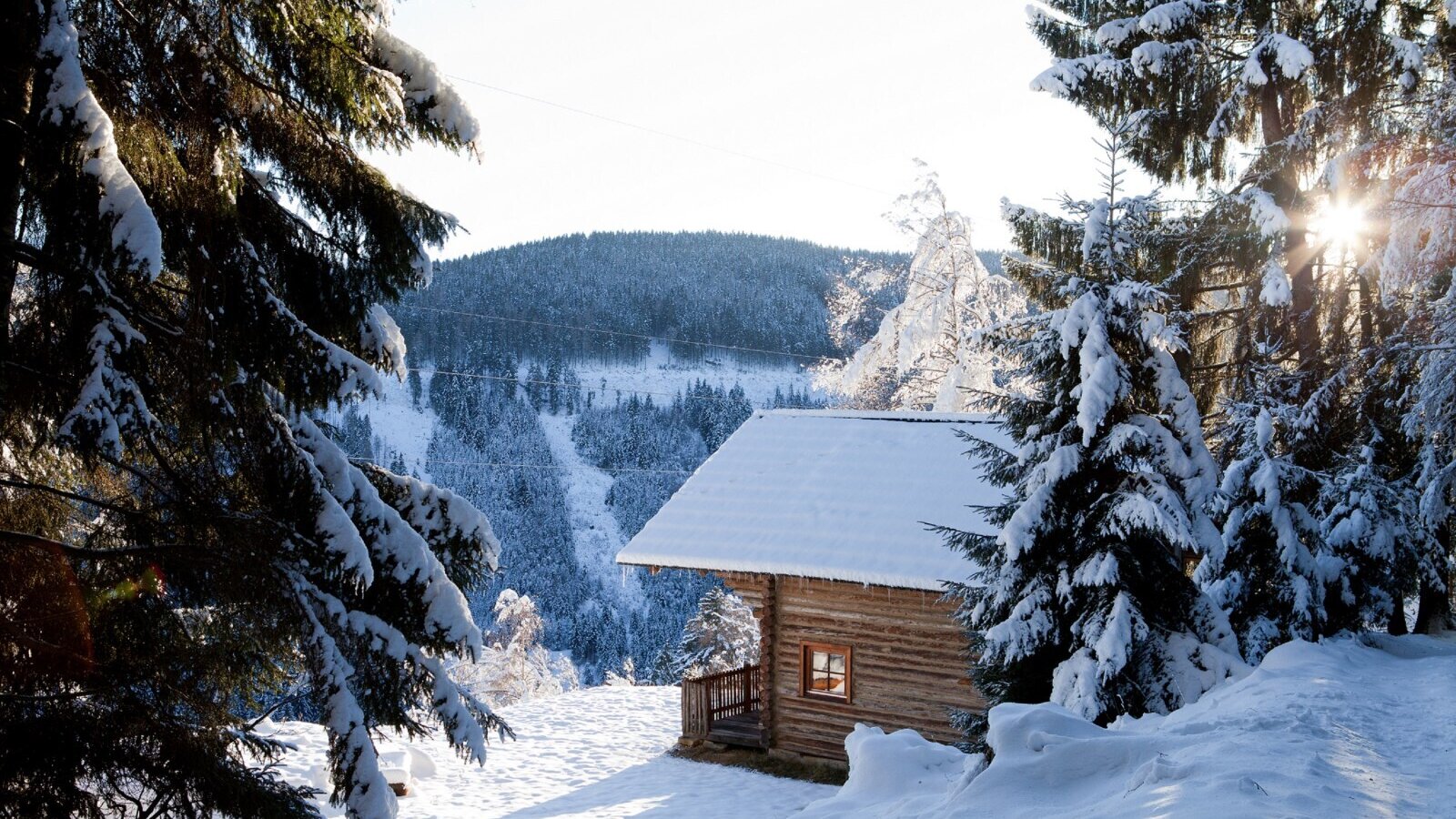 Waldhütte