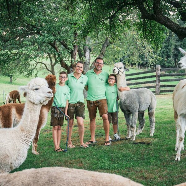 Alpakas und Lamas auf dem Alpakahof mit der Gastgeberfamilie auf einer Wiese.