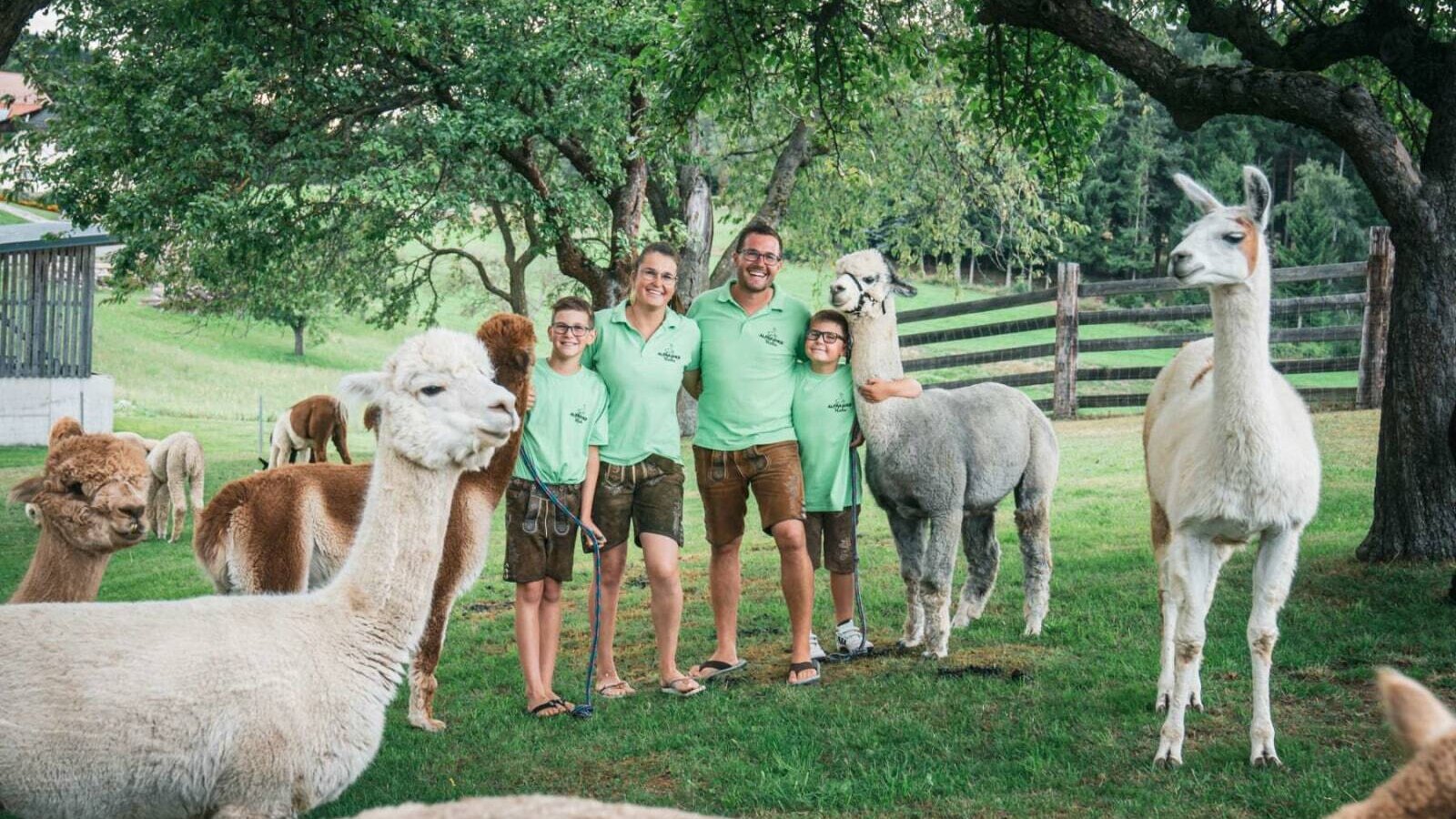 Alpakas und Lamas auf dem Alpakahof mit der Gastgeberfamilie auf einer Wiese.