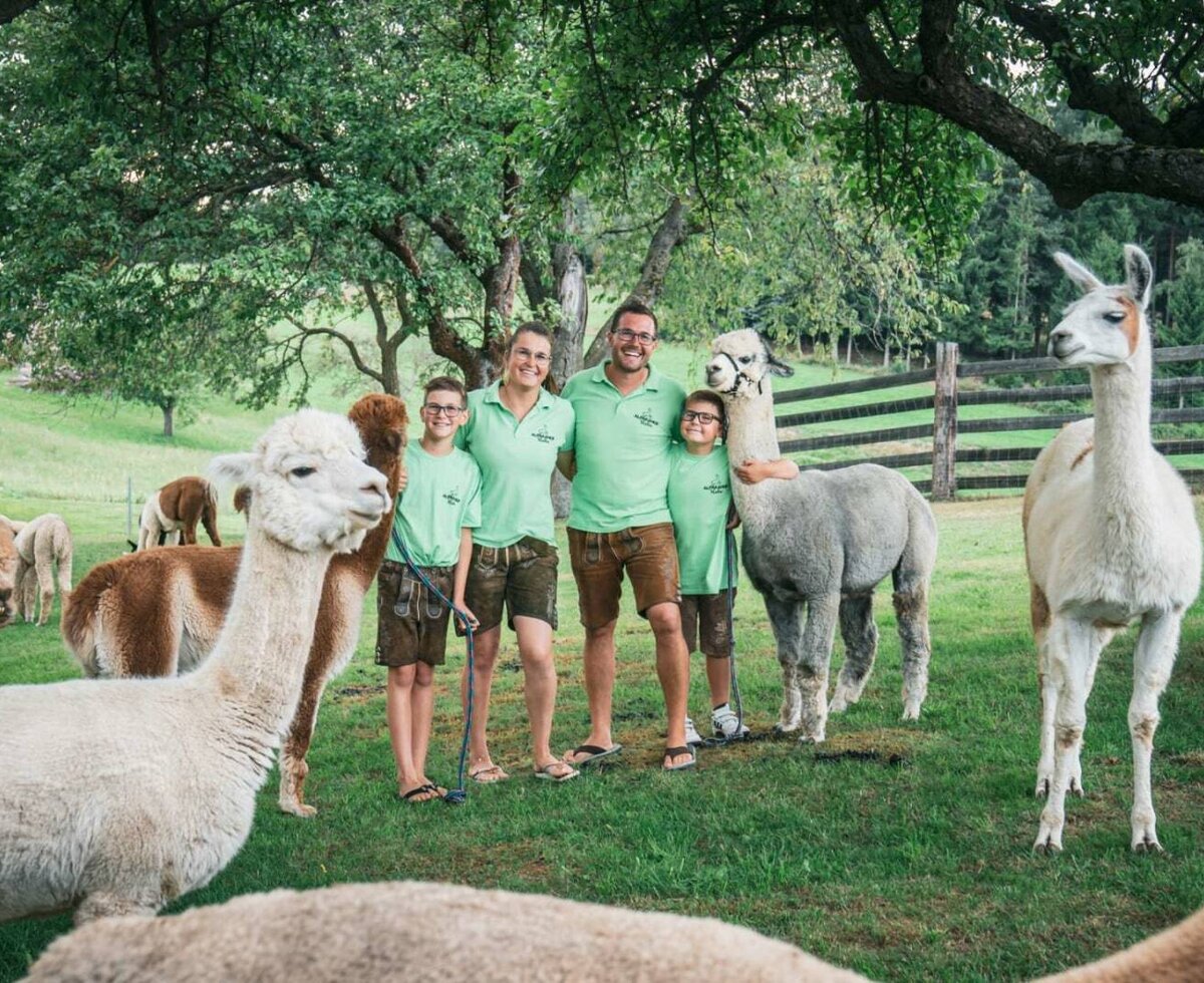 Alpakas und Lamas auf dem Alpakahof mit der Gastgeberfamilie auf einer Wiese.
