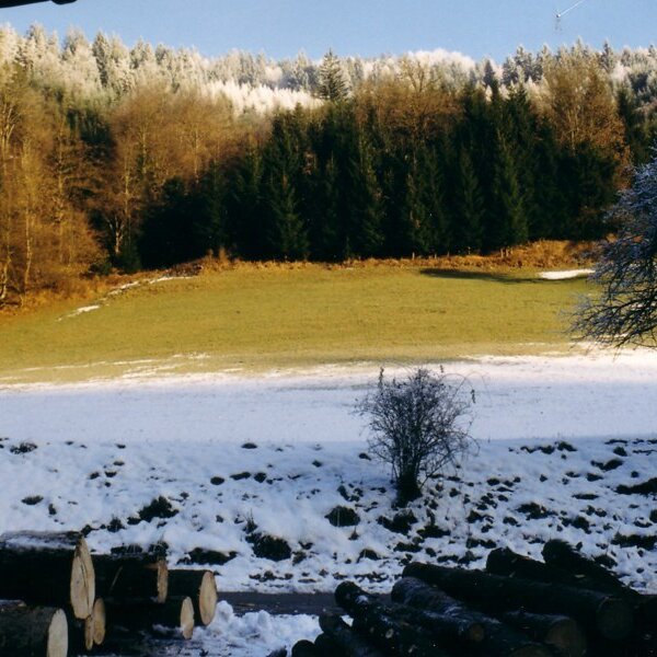 Ausblick vom Sägewerk