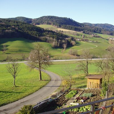 Herbststimmung / Blick vom Balkon