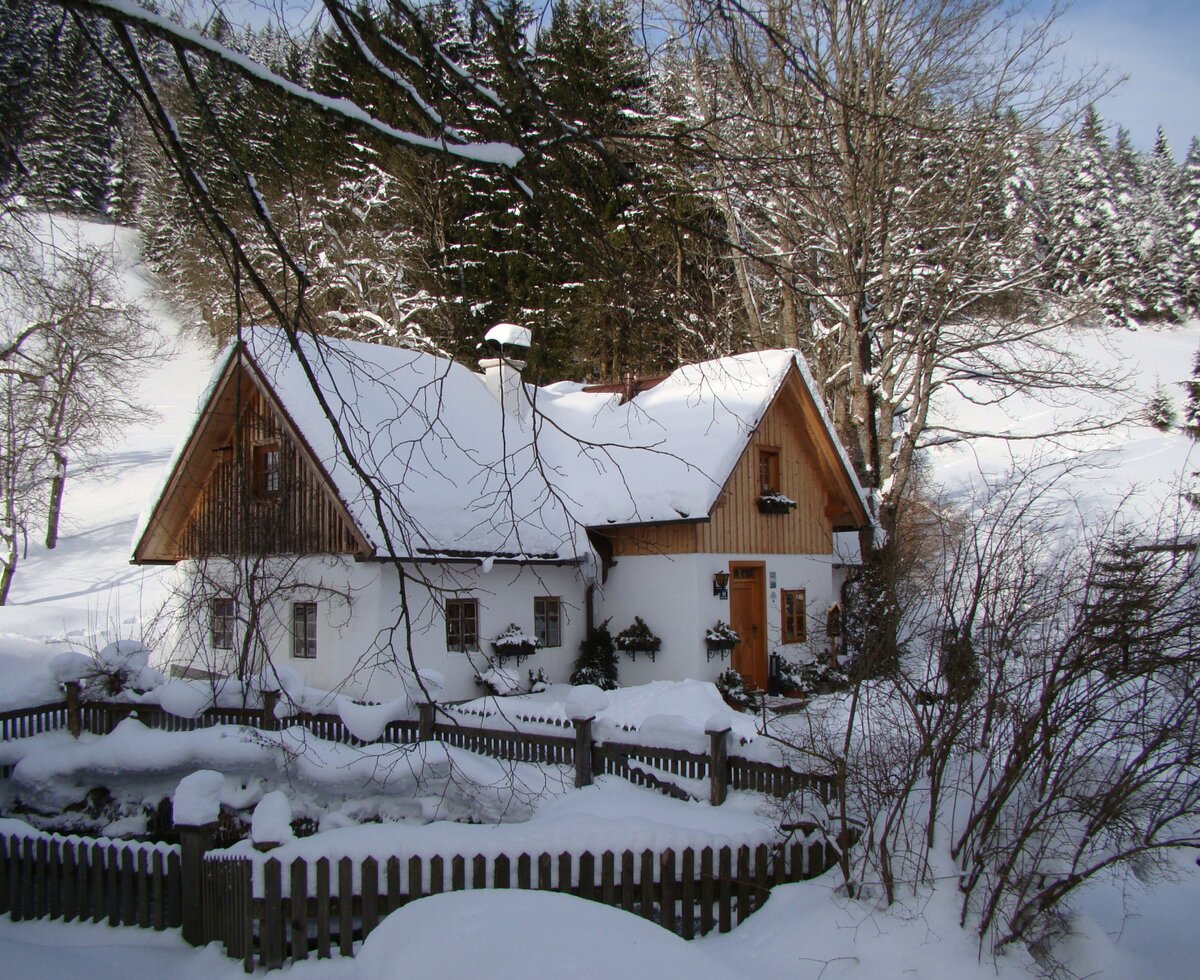 Ferienhaus-Lenzau-Teich