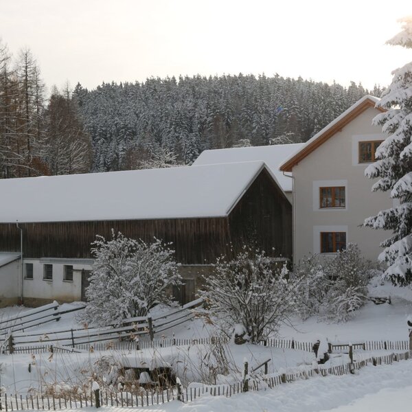 Hof im Winter