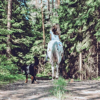 Biohof Pascher - Reiten im Wald