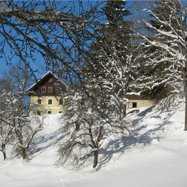 Außenansicht des Bauernhofs in einer verschneiten Winterlandschaft, umgeben von Bäumen.