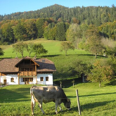 Unser Gästehaus