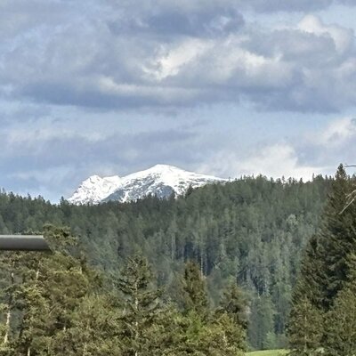 Blick auf einen schneebedeckten Berg hinter einem Wald aus.