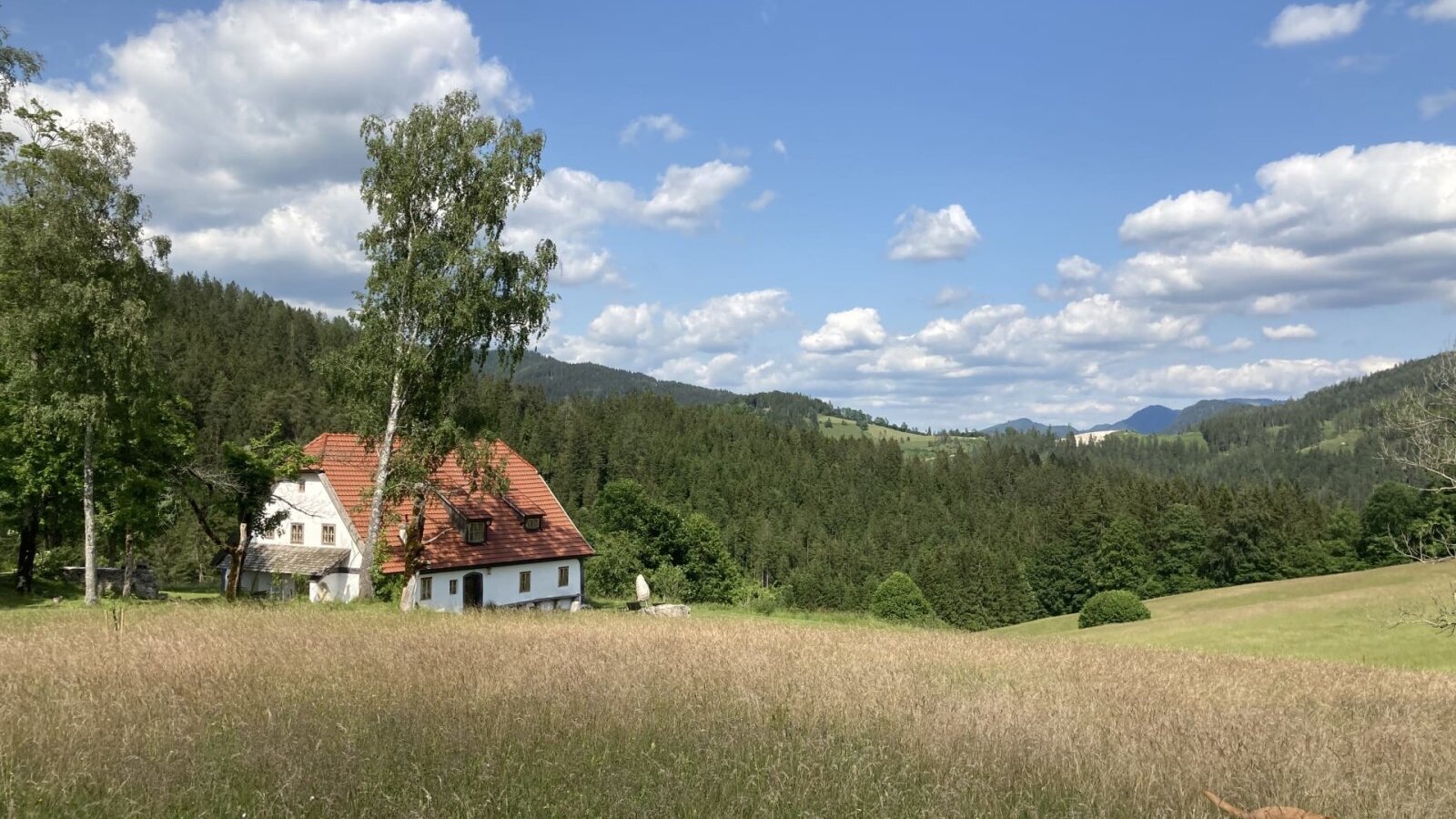 Das Bed and Breakfast, ein weißes Haus mit rotem Dach, liegt inmitten von Feldern und Wäldern mit Bergblick.