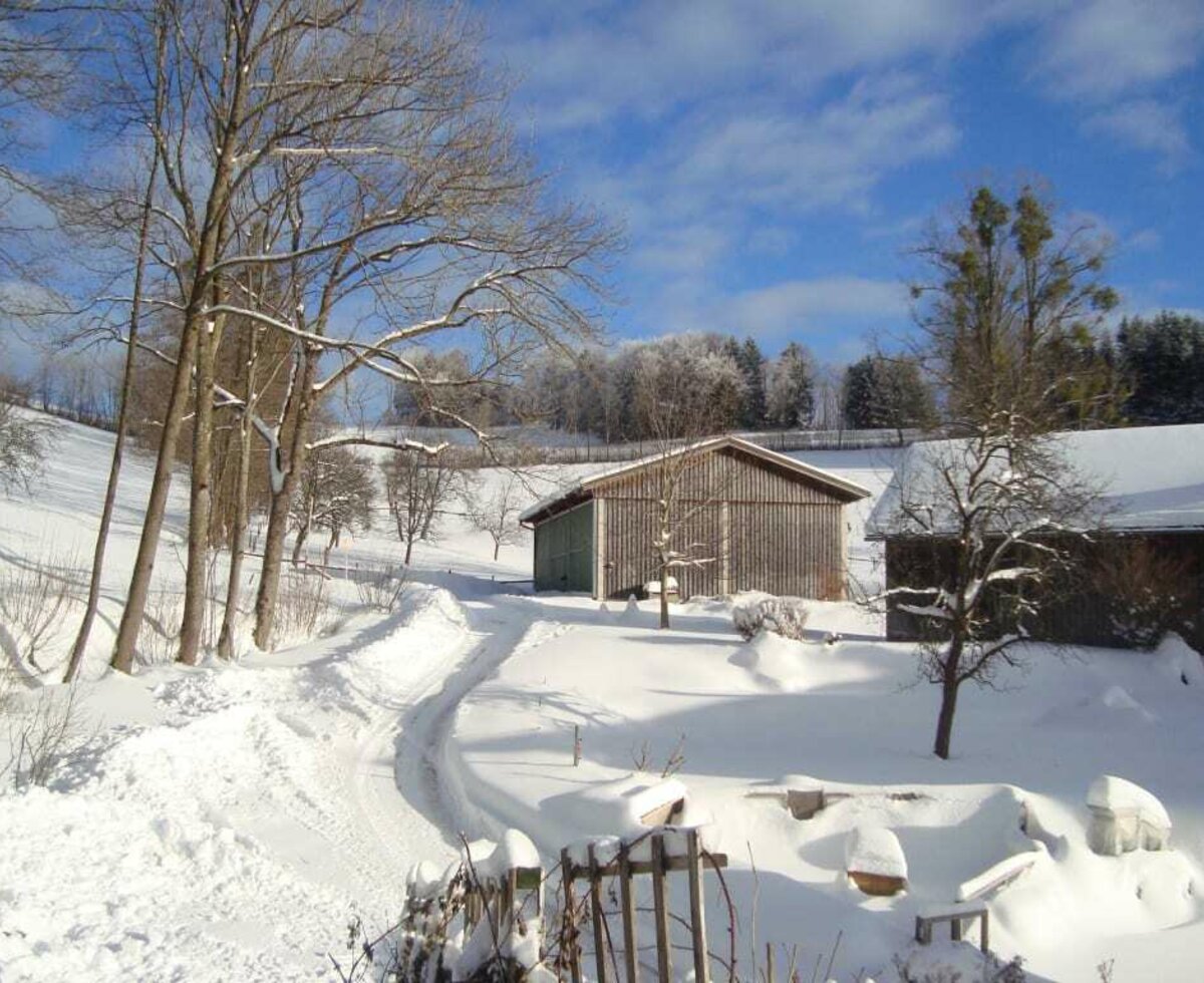 wunderschöner Wintertag