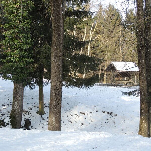 Ferienwohnung Heimberger - Rotwildgehege Winter
