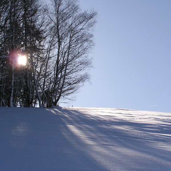 Winter bei uns am Berg