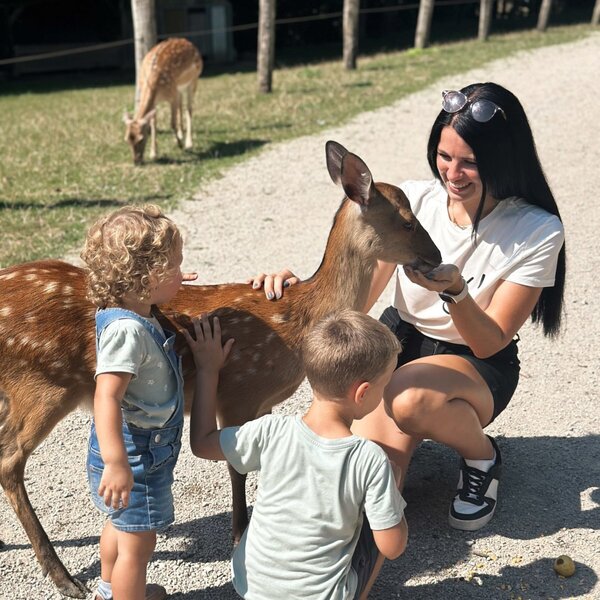 Gäste beim Füttern der Rehe im Wildpark des Bauernhofs.