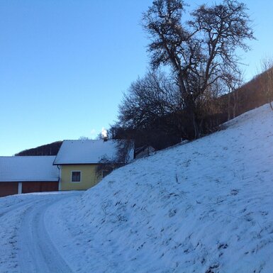 Winterlandschaft