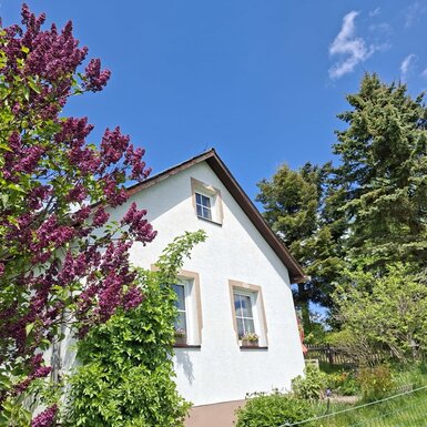 Außenansicht des Ferienhauses mit einem großen Fliederbusch und grünen Bäumen unter blauem Himmel.