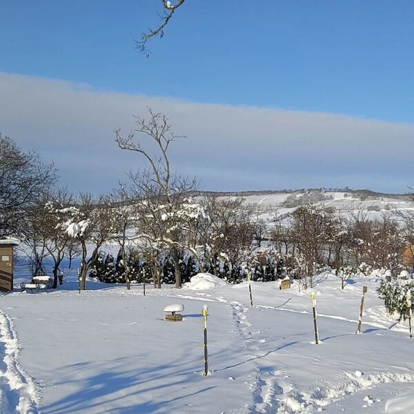 Der verschneite Außenbereich des Bauernhofs mit einer idyllischen Winterlandschaft unter blauem Himmel.
