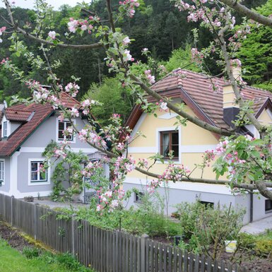 Ferienhaus und Apartment Idolsberg - Ansicht Ferienhaus und Apartment Idolsberg - Ansicht
