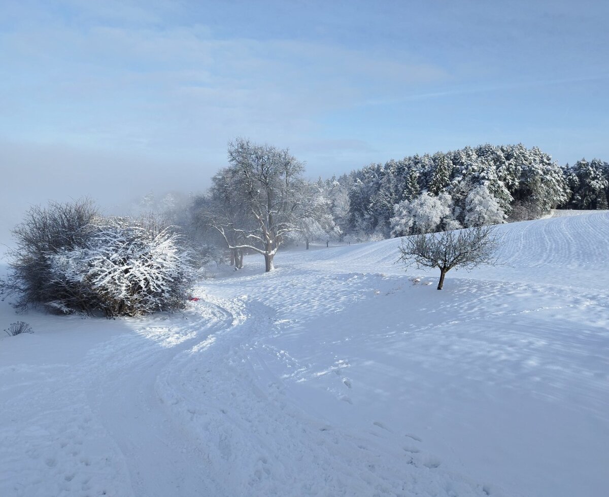 Winter