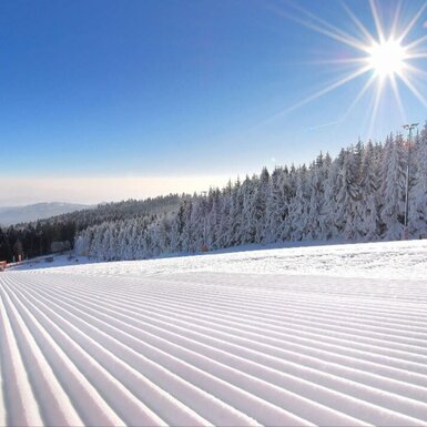 Landschaft Jauerling 