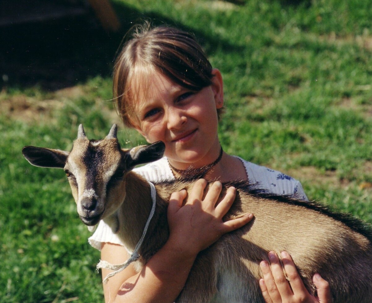 Forellenhof - manche Ziegen lassen sich kuscheln © Forellenhof Erber