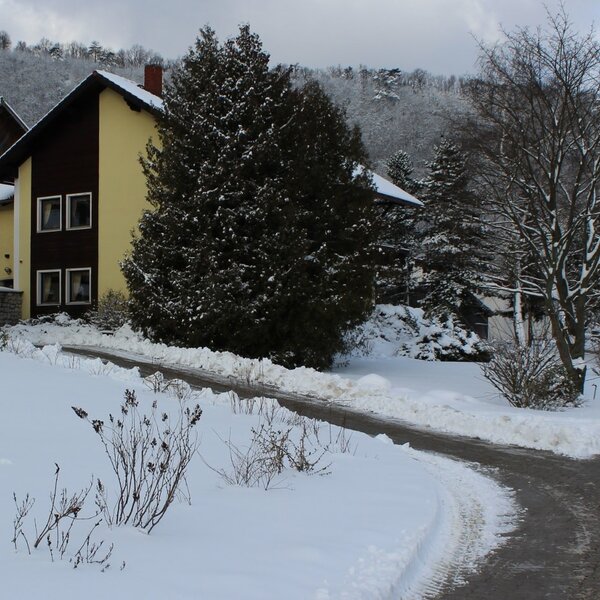 Außenansicht des Bauernhofs in einer verschneiten Winterlandschaft mit Zufahrtsweg und umgebenden Bäumen.