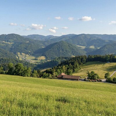 Der idyllisch gelegene Landhof umgeben von saftig grünen Wiesen und mit einem weiten Blick auf die umliegende Berglandschaft.
